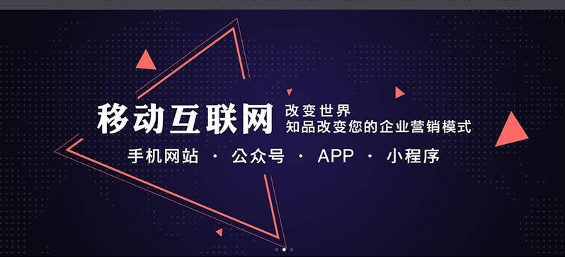沿浦手机网站